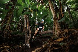 BIB: 
                            <button type="button" onclick="openModal(22383545)" class="btn btn-primary btn-sm float-right btn-popup" data-toggle="modal" data-target=".modal-high-quality">
                        <i class="fas fa-shopping-cart"></i> Add to Cart
                    </button>
                                            <button type="button" onclick="isThisMe(22383545, true)" class="btn btn-success btn-sm float-right btn-popup btn-isme hidden" data-toggle="tooltip" data-placement="bottom" title="นี่คือรูปของคุณใช่ไหม คลิกที่นี่เพื่อเอาเข้าอัลบั้ม">
                        <i class="fas fa-plus"></i> Add to album
                    </button>
                    <button type="button" onclick="isThisMe(22383545, false)" class="btn btn-warning btn-sm float-right btn-popup btn-isnotme hidden">
                        <i class="fas fa-ban"></i> Remove from album
                    </button>