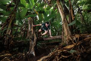 BIB: 
                            <button type="button" onclick="openModal(22383410)" class="btn btn-primary btn-sm float-right btn-popup" data-toggle="modal" data-target=".modal-high-quality">
                        <i class="fas fa-shopping-cart"></i> Add to Cart
                    </button>
                                            <button type="button" onclick="isThisMe(22383410, true)" class="btn btn-success btn-sm float-right btn-popup btn-isme hidden" data-toggle="tooltip" data-placement="bottom" title="นี่คือรูปของคุณใช่ไหม คลิกที่นี่เพื่อเอาเข้าอัลบั้ม">
                        <i class="fas fa-plus"></i> Add to album
                    </button>
                    <button type="button" onclick="isThisMe(22383410, false)" class="btn btn-warning btn-sm float-right btn-popup btn-isnotme hidden">
                        <i class="fas fa-ban"></i> Remove from album
                    </button>