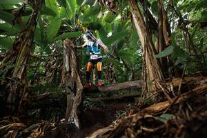 BIB: 
                            <button type="button" onclick="openModal(22381393)" class="btn btn-primary btn-sm float-right btn-popup" data-toggle="modal" data-target=".modal-high-quality">
                        <i class="fas fa-shopping-cart"></i> Add to Cart
                    </button>
                                            <button type="button" onclick="isThisMe(22381393, true)" class="btn btn-success btn-sm float-right btn-popup btn-isme hidden" data-toggle="tooltip" data-placement="bottom" title="นี่คือรูปของคุณใช่ไหม คลิกที่นี่เพื่อเอาเข้าอัลบั้ม">
                        <i class="fas fa-plus"></i> Add to album
                    </button>
                    <button type="button" onclick="isThisMe(22381393, false)" class="btn btn-warning btn-sm float-right btn-popup btn-isnotme hidden">
                        <i class="fas fa-ban"></i> Remove from album
                    </button>