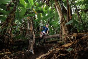 BIB: 
                            <button type="button" onclick="openModal(22384144)" class="btn btn-primary btn-sm float-right btn-popup" data-toggle="modal" data-target=".modal-high-quality">
                        <i class="fas fa-shopping-cart"></i> Add to Cart
                    </button>
                                            <button type="button" onclick="isThisMe(22384144, true)" class="btn btn-success btn-sm float-right btn-popup btn-isme hidden" data-toggle="tooltip" data-placement="bottom" title="นี่คือรูปของคุณใช่ไหม คลิกที่นี่เพื่อเอาเข้าอัลบั้ม">
                        <i class="fas fa-plus"></i> Add to album
                    </button>
                    <button type="button" onclick="isThisMe(22384144, false)" class="btn btn-warning btn-sm float-right btn-popup btn-isnotme hidden">
                        <i class="fas fa-ban"></i> Remove from album
                    </button>