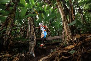 BIB: 
                            <button type="button" onclick="openModal(22381714)" class="btn btn-primary btn-sm float-right btn-popup" data-toggle="modal" data-target=".modal-high-quality">
                        <i class="fas fa-shopping-cart"></i> Add to Cart
                    </button>
                                            <button type="button" onclick="isThisMe(22381714, true)" class="btn btn-success btn-sm float-right btn-popup btn-isme hidden" data-toggle="tooltip" data-placement="bottom" title="นี่คือรูปของคุณใช่ไหม คลิกที่นี่เพื่อเอาเข้าอัลบั้ม">
                        <i class="fas fa-plus"></i> Add to album
                    </button>
                    <button type="button" onclick="isThisMe(22381714, false)" class="btn btn-warning btn-sm float-right btn-popup btn-isnotme hidden">
                        <i class="fas fa-ban"></i> Remove from album
                    </button>