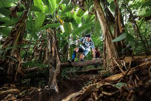 BIB: 
                            <button type="button" onclick="openModal(22384480)" class="btn btn-primary btn-sm float-right btn-popup" data-toggle="modal" data-target=".modal-high-quality">
                        <i class="fas fa-shopping-cart"></i> Add to Cart
                    </button>
                                            <button type="button" onclick="isThisMe(22384480, true)" class="btn btn-success btn-sm float-right btn-popup btn-isme hidden" data-toggle="tooltip" data-placement="bottom" title="นี่คือรูปของคุณใช่ไหม คลิกที่นี่เพื่อเอาเข้าอัลบั้ม">
                        <i class="fas fa-plus"></i> Add to album
                    </button>
                    <button type="button" onclick="isThisMe(22384480, false)" class="btn btn-warning btn-sm float-right btn-popup btn-isnotme hidden">
                        <i class="fas fa-ban"></i> Remove from album
                    </button>