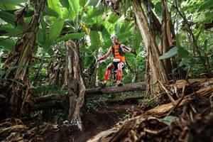 BIB: 
                            <button type="button" onclick="openModal(22384958)" class="btn btn-primary btn-sm float-right btn-popup" data-toggle="modal" data-target=".modal-high-quality">
                        <i class="fas fa-shopping-cart"></i> Add to Cart
                    </button>
                                            <button type="button" onclick="isThisMe(22384958, true)" class="btn btn-success btn-sm float-right btn-popup btn-isme hidden" data-toggle="tooltip" data-placement="bottom" title="นี่คือรูปของคุณใช่ไหม คลิกที่นี่เพื่อเอาเข้าอัลบั้ม">
                        <i class="fas fa-plus"></i> Add to album
                    </button>
                    <button type="button" onclick="isThisMe(22384958, false)" class="btn btn-warning btn-sm float-right btn-popup btn-isnotme hidden">
                        <i class="fas fa-ban"></i> Remove from album
                    </button>