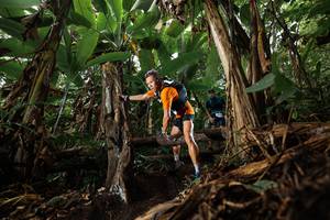 BIB: 217
                            <button type="button" onclick="openModal(22382006)" class="btn btn-primary btn-sm float-right btn-popup" data-toggle="modal" data-target=".modal-high-quality">
                        <i class="fas fa-shopping-cart"></i> Add to Cart
                    </button>
                                            <button type="button" onclick="isThisMe(22382006, true)" class="btn btn-success btn-sm float-right btn-popup btn-isme hidden" data-toggle="tooltip" data-placement="bottom" title="นี่คือรูปของคุณใช่ไหม คลิกที่นี่เพื่อเอาเข้าอัลบั้ม">
                        <i class="fas fa-plus"></i> Add to album
                    </button>
                    <button type="button" onclick="isThisMe(22382006, false)" class="btn btn-warning btn-sm float-right btn-popup btn-isnotme hidden">
                        <i class="fas fa-ban"></i> Remove from album
                    </button>