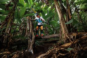 BIB: 
                            <button type="button" onclick="openModal(22381385)" class="btn btn-primary btn-sm float-right btn-popup" data-toggle="modal" data-target=".modal-high-quality">
                        <i class="fas fa-shopping-cart"></i> Add to Cart
                    </button>
                                            <button type="button" onclick="isThisMe(22381385, true)" class="btn btn-success btn-sm float-right btn-popup btn-isme hidden" data-toggle="tooltip" data-placement="bottom" title="นี่คือรูปของคุณใช่ไหม คลิกที่นี่เพื่อเอาเข้าอัลบั้ม">
                        <i class="fas fa-plus"></i> Add to album
                    </button>
                    <button type="button" onclick="isThisMe(22381385, false)" class="btn btn-warning btn-sm float-right btn-popup btn-isnotme hidden">
                        <i class="fas fa-ban"></i> Remove from album
                    </button>