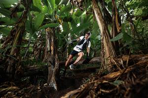 BIB: 
                            <button type="button" onclick="openModal(22382078)" class="btn btn-primary btn-sm float-right btn-popup" data-toggle="modal" data-target=".modal-high-quality">
                        <i class="fas fa-shopping-cart"></i> Add to Cart
                    </button>
                                            <button type="button" onclick="isThisMe(22382078, true)" class="btn btn-success btn-sm float-right btn-popup btn-isme hidden" data-toggle="tooltip" data-placement="bottom" title="นี่คือรูปของคุณใช่ไหม คลิกที่นี่เพื่อเอาเข้าอัลบั้ม">
                        <i class="fas fa-plus"></i> Add to album
                    </button>
                    <button type="button" onclick="isThisMe(22382078, false)" class="btn btn-warning btn-sm float-right btn-popup btn-isnotme hidden">
                        <i class="fas fa-ban"></i> Remove from album
                    </button>