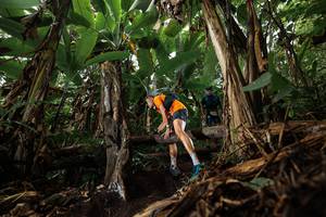 BIB: 
                            <button type="button" onclick="openModal(22382002)" class="btn btn-primary btn-sm float-right btn-popup" data-toggle="modal" data-target=".modal-high-quality">
                        <i class="fas fa-shopping-cart"></i> Add to Cart
                    </button>
                                            <button type="button" onclick="isThisMe(22382002, true)" class="btn btn-success btn-sm float-right btn-popup btn-isme hidden" data-toggle="tooltip" data-placement="bottom" title="นี่คือรูปของคุณใช่ไหม คลิกที่นี่เพื่อเอาเข้าอัลบั้ม">
                        <i class="fas fa-plus"></i> Add to album
                    </button>
                    <button type="button" onclick="isThisMe(22382002, false)" class="btn btn-warning btn-sm float-right btn-popup btn-isnotme hidden">
                        <i class="fas fa-ban"></i> Remove from album
                    </button>