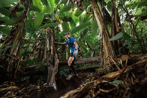 BIB: 
                            <button type="button" onclick="openModal(22384054)" class="btn btn-primary btn-sm float-right btn-popup" data-toggle="modal" data-target=".modal-high-quality">
                        <i class="fas fa-shopping-cart"></i> Add to Cart
                    </button>
                                            <button type="button" onclick="isThisMe(22384054, true)" class="btn btn-success btn-sm float-right btn-popup btn-isme hidden" data-toggle="tooltip" data-placement="bottom" title="นี่คือรูปของคุณใช่ไหม คลิกที่นี่เพื่อเอาเข้าอัลบั้ม">
                        <i class="fas fa-plus"></i> Add to album
                    </button>
                    <button type="button" onclick="isThisMe(22384054, false)" class="btn btn-warning btn-sm float-right btn-popup btn-isnotme hidden">
                        <i class="fas fa-ban"></i> Remove from album
                    </button>