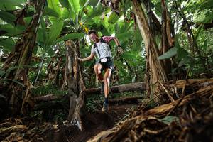 BIB: 
                            <button type="button" onclick="openModal(22384473)" class="btn btn-primary btn-sm float-right btn-popup" data-toggle="modal" data-target=".modal-high-quality">
                        <i class="fas fa-shopping-cart"></i> Add to Cart
                    </button>
                                            <button type="button" onclick="isThisMe(22384473, true)" class="btn btn-success btn-sm float-right btn-popup btn-isme hidden" data-toggle="tooltip" data-placement="bottom" title="นี่คือรูปของคุณใช่ไหม คลิกที่นี่เพื่อเอาเข้าอัลบั้ม">
                        <i class="fas fa-plus"></i> Add to album
                    </button>
                    <button type="button" onclick="isThisMe(22384473, false)" class="btn btn-warning btn-sm float-right btn-popup btn-isnotme hidden">
                        <i class="fas fa-ban"></i> Remove from album
                    </button>