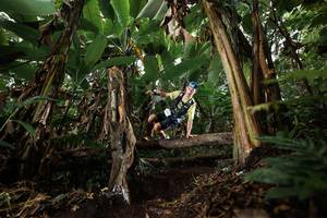 BIB: 
                            <button type="button" onclick="openModal(22394828)" class="btn btn-primary btn-sm float-right btn-popup" data-toggle="modal" data-target=".modal-high-quality">
                        <i class="fas fa-shopping-cart"></i> Add to Cart
                    </button>
                                            <button type="button" onclick="isThisMe(22394828, true)" class="btn btn-success btn-sm float-right btn-popup btn-isme hidden" data-toggle="tooltip" data-placement="bottom" title="นี่คือรูปของคุณใช่ไหม คลิกที่นี่เพื่อเอาเข้าอัลบั้ม">
                        <i class="fas fa-plus"></i> Add to album
                    </button>
                    <button type="button" onclick="isThisMe(22394828, false)" class="btn btn-warning btn-sm float-right btn-popup btn-isnotme hidden">
                        <i class="fas fa-ban"></i> Remove from album
                    </button>