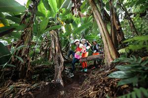 BIB: 
                            <button type="button" onclick="openModal(22415321)" class="btn btn-primary btn-sm float-right btn-popup" data-toggle="modal" data-target=".modal-high-quality">
                        <i class="fas fa-shopping-cart"></i> Add to Cart
                    </button>
                                            <button type="button" onclick="isThisMe(22415321, true)" class="btn btn-success btn-sm float-right btn-popup btn-isme hidden" data-toggle="tooltip" data-placement="bottom" title="นี่คือรูปของคุณใช่ไหม คลิกที่นี่เพื่อเอาเข้าอัลบั้ม">
                        <i class="fas fa-plus"></i> Add to album
                    </button>
                    <button type="button" onclick="isThisMe(22415321, false)" class="btn btn-warning btn-sm float-right btn-popup btn-isnotme hidden">
                        <i class="fas fa-ban"></i> Remove from album
                    </button>