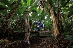 BIB: 
                            <button type="button" onclick="openModal(22417093)" class="btn btn-primary btn-sm float-right btn-popup" data-toggle="modal" data-target=".modal-high-quality">
                        <i class="fas fa-shopping-cart"></i> Add to Cart
                    </button>
                                            <button type="button" onclick="isThisMe(22417093, true)" class="btn btn-success btn-sm float-right btn-popup btn-isme hidden" data-toggle="tooltip" data-placement="bottom" title="นี่คือรูปของคุณใช่ไหม คลิกที่นี่เพื่อเอาเข้าอัลบั้ม">
                        <i class="fas fa-plus"></i> Add to album
                    </button>
                    <button type="button" onclick="isThisMe(22417093, false)" class="btn btn-warning btn-sm float-right btn-popup btn-isnotme hidden">
                        <i class="fas fa-ban"></i> Remove from album
                    </button>