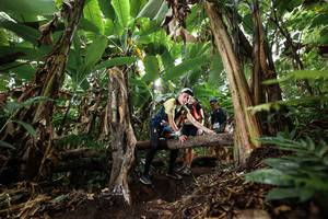 BIB: 
                            <button type="button" onclick="openModal(22395244)" class="btn btn-primary btn-sm float-right btn-popup" data-toggle="modal" data-target=".modal-high-quality">
                        <i class="fas fa-shopping-cart"></i> Add to Cart
                    </button>
                                            <button type="button" onclick="isThisMe(22395244, true)" class="btn btn-success btn-sm float-right btn-popup btn-isme hidden" data-toggle="tooltip" data-placement="bottom" title="นี่คือรูปของคุณใช่ไหม คลิกที่นี่เพื่อเอาเข้าอัลบั้ม">
                        <i class="fas fa-plus"></i> Add to album
                    </button>
                    <button type="button" onclick="isThisMe(22395244, false)" class="btn btn-warning btn-sm float-right btn-popup btn-isnotme hidden">
                        <i class="fas fa-ban"></i> Remove from album
                    </button>