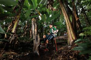 BIB: 
                            <button type="button" onclick="openModal(22421917)" class="btn btn-primary btn-sm float-right btn-popup" data-toggle="modal" data-target=".modal-high-quality">
                        <i class="fas fa-shopping-cart"></i> Add to Cart
                    </button>
                                            <button type="button" onclick="isThisMe(22421917, true)" class="btn btn-success btn-sm float-right btn-popup btn-isme hidden" data-toggle="tooltip" data-placement="bottom" title="นี่คือรูปของคุณใช่ไหม คลิกที่นี่เพื่อเอาเข้าอัลบั้ม">
                        <i class="fas fa-plus"></i> Add to album
                    </button>
                    <button type="button" onclick="isThisMe(22421917, false)" class="btn btn-warning btn-sm float-right btn-popup btn-isnotme hidden">
                        <i class="fas fa-ban"></i> Remove from album
                    </button>