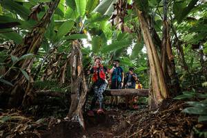 BIB: 
                            <button type="button" onclick="openModal(22416166)" class="btn btn-primary btn-sm float-right btn-popup" data-toggle="modal" data-target=".modal-high-quality">
                        <i class="fas fa-shopping-cart"></i> Add to Cart
                    </button>
                                            <button type="button" onclick="isThisMe(22416166, true)" class="btn btn-success btn-sm float-right btn-popup btn-isme hidden" data-toggle="tooltip" data-placement="bottom" title="นี่คือรูปของคุณใช่ไหม คลิกที่นี่เพื่อเอาเข้าอัลบั้ม">
                        <i class="fas fa-plus"></i> Add to album
                    </button>
                    <button type="button" onclick="isThisMe(22416166, false)" class="btn btn-warning btn-sm float-right btn-popup btn-isnotme hidden">
                        <i class="fas fa-ban"></i> Remove from album
                    </button>