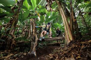 BIB: 
                            <button type="button" onclick="openModal(22392996)" class="btn btn-primary btn-sm float-right btn-popup" data-toggle="modal" data-target=".modal-high-quality">
                        <i class="fas fa-shopping-cart"></i> Add to Cart
                    </button>
                                            <button type="button" onclick="isThisMe(22392996, true)" class="btn btn-success btn-sm float-right btn-popup btn-isme hidden" data-toggle="tooltip" data-placement="bottom" title="นี่คือรูปของคุณใช่ไหม คลิกที่นี่เพื่อเอาเข้าอัลบั้ม">
                        <i class="fas fa-plus"></i> Add to album
                    </button>
                    <button type="button" onclick="isThisMe(22392996, false)" class="btn btn-warning btn-sm float-right btn-popup btn-isnotme hidden">
                        <i class="fas fa-ban"></i> Remove from album
                    </button>