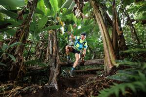 BIB: 
                            <button type="button" onclick="openModal(22393308)" class="btn btn-primary btn-sm float-right btn-popup" data-toggle="modal" data-target=".modal-high-quality">
                        <i class="fas fa-shopping-cart"></i> Add to Cart
                    </button>
                                            <button type="button" onclick="isThisMe(22393308, true)" class="btn btn-success btn-sm float-right btn-popup btn-isme hidden" data-toggle="tooltip" data-placement="bottom" title="นี่คือรูปของคุณใช่ไหม คลิกที่นี่เพื่อเอาเข้าอัลบั้ม">
                        <i class="fas fa-plus"></i> Add to album
                    </button>
                    <button type="button" onclick="isThisMe(22393308, false)" class="btn btn-warning btn-sm float-right btn-popup btn-isnotme hidden">
                        <i class="fas fa-ban"></i> Remove from album
                    </button>