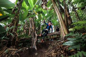 BIB: 
                            <button type="button" onclick="openModal(22415450)" class="btn btn-primary btn-sm float-right btn-popup" data-toggle="modal" data-target=".modal-high-quality">
                        <i class="fas fa-shopping-cart"></i> Add to Cart
                    </button>
                                            <button type="button" onclick="isThisMe(22415450, true)" class="btn btn-success btn-sm float-right btn-popup btn-isme hidden" data-toggle="tooltip" data-placement="bottom" title="นี่คือรูปของคุณใช่ไหม คลิกที่นี่เพื่อเอาเข้าอัลบั้ม">
                        <i class="fas fa-plus"></i> Add to album
                    </button>
                    <button type="button" onclick="isThisMe(22415450, false)" class="btn btn-warning btn-sm float-right btn-popup btn-isnotme hidden">
                        <i class="fas fa-ban"></i> Remove from album
                    </button>