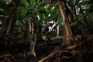 BIB: 
                            <button type="button" onclick="openModal(22387585)" class="btn btn-primary btn-sm float-right btn-popup" data-toggle="modal" data-target=".modal-high-quality">
                        <i class="fas fa-shopping-cart"></i> Add to Cart
                    </button>
                                            <button type="button" onclick="isThisMe(22387585, true)" class="btn btn-success btn-sm float-right btn-popup btn-isme hidden" data-toggle="tooltip" data-placement="bottom" title="นี่คือรูปของคุณใช่ไหม คลิกที่นี่เพื่อเอาเข้าอัลบั้ม">
                        <i class="fas fa-plus"></i> Add to album
                    </button>
                    <button type="button" onclick="isThisMe(22387585, false)" class="btn btn-warning btn-sm float-right btn-popup btn-isnotme hidden">
                        <i class="fas fa-ban"></i> Remove from album
                    </button>