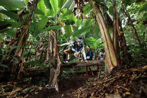 BIB: 
                            <button type="button" onclick="openModal(22392950)" class="btn btn-primary btn-sm float-right btn-popup" data-toggle="modal" data-target=".modal-high-quality">
                        <i class="fas fa-shopping-cart"></i> Add to Cart
                    </button>
                                            <button type="button" onclick="isThisMe(22392950, true)" class="btn btn-success btn-sm float-right btn-popup btn-isme hidden" data-toggle="tooltip" data-placement="bottom" title="นี่คือรูปของคุณใช่ไหม คลิกที่นี่เพื่อเอาเข้าอัลบั้ม">
                        <i class="fas fa-plus"></i> Add to album
                    </button>
                    <button type="button" onclick="isThisMe(22392950, false)" class="btn btn-warning btn-sm float-right btn-popup btn-isnotme hidden">
                        <i class="fas fa-ban"></i> Remove from album
                    </button>