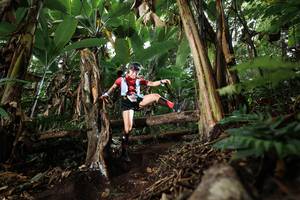 BIB: 
                            <button type="button" onclick="openModal(22414425)" class="btn btn-primary btn-sm float-right btn-popup" data-toggle="modal" data-target=".modal-high-quality">
                        <i class="fas fa-shopping-cart"></i> Add to Cart
                    </button>
                                            <button type="button" onclick="isThisMe(22414425, true)" class="btn btn-success btn-sm float-right btn-popup btn-isme hidden" data-toggle="tooltip" data-placement="bottom" title="นี่คือรูปของคุณใช่ไหม คลิกที่นี่เพื่อเอาเข้าอัลบั้ม">
                        <i class="fas fa-plus"></i> Add to album
                    </button>
                    <button type="button" onclick="isThisMe(22414425, false)" class="btn btn-warning btn-sm float-right btn-popup btn-isnotme hidden">
                        <i class="fas fa-ban"></i> Remove from album
                    </button>