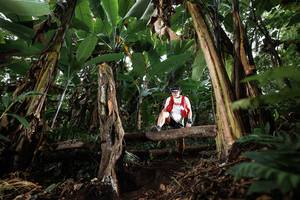 BIB: 
                            <button type="button" onclick="openModal(22413463)" class="btn btn-primary btn-sm float-right btn-popup" data-toggle="modal" data-target=".modal-high-quality">
                        <i class="fas fa-shopping-cart"></i> Add to Cart
                    </button>
                                            <button type="button" onclick="isThisMe(22413463, true)" class="btn btn-success btn-sm float-right btn-popup btn-isme hidden" data-toggle="tooltip" data-placement="bottom" title="นี่คือรูปของคุณใช่ไหม คลิกที่นี่เพื่อเอาเข้าอัลบั้ม">
                        <i class="fas fa-plus"></i> Add to album
                    </button>
                    <button type="button" onclick="isThisMe(22413463, false)" class="btn btn-warning btn-sm float-right btn-popup btn-isnotme hidden">
                        <i class="fas fa-ban"></i> Remove from album
                    </button>