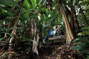 BIB: 
                            <button type="button" onclick="openModal(22420618)" class="btn btn-primary btn-sm float-right btn-popup" data-toggle="modal" data-target=".modal-high-quality">
                        <i class="fas fa-shopping-cart"></i> Add to Cart
                    </button>
                                            <button type="button" onclick="isThisMe(22420618, true)" class="btn btn-success btn-sm float-right btn-popup btn-isme hidden" data-toggle="tooltip" data-placement="bottom" title="นี่คือรูปของคุณใช่ไหม คลิกที่นี่เพื่อเอาเข้าอัลบั้ม">
                        <i class="fas fa-plus"></i> Add to album
                    </button>
                    <button type="button" onclick="isThisMe(22420618, false)" class="btn btn-warning btn-sm float-right btn-popup btn-isnotme hidden">
                        <i class="fas fa-ban"></i> Remove from album
                    </button>