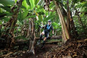 BIB: 
                            <button type="button" onclick="openModal(22392937)" class="btn btn-primary btn-sm float-right btn-popup" data-toggle="modal" data-target=".modal-high-quality">
                        <i class="fas fa-shopping-cart"></i> Add to Cart
                    </button>
                                            <button type="button" onclick="isThisMe(22392937, true)" class="btn btn-success btn-sm float-right btn-popup btn-isme hidden" data-toggle="tooltip" data-placement="bottom" title="นี่คือรูปของคุณใช่ไหม คลิกที่นี่เพื่อเอาเข้าอัลบั้ม">
                        <i class="fas fa-plus"></i> Add to album
                    </button>
                    <button type="button" onclick="isThisMe(22392937, false)" class="btn btn-warning btn-sm float-right btn-popup btn-isnotme hidden">
                        <i class="fas fa-ban"></i> Remove from album
                    </button>