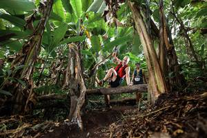 BIB: 
                            <button type="button" onclick="openModal(22392979)" class="btn btn-primary btn-sm float-right btn-popup" data-toggle="modal" data-target=".modal-high-quality">
                        <i class="fas fa-shopping-cart"></i> Add to Cart
                    </button>
                                            <button type="button" onclick="isThisMe(22392979, true)" class="btn btn-success btn-sm float-right btn-popup btn-isme hidden" data-toggle="tooltip" data-placement="bottom" title="นี่คือรูปของคุณใช่ไหม คลิกที่นี่เพื่อเอาเข้าอัลบั้ม">
                        <i class="fas fa-plus"></i> Add to album
                    </button>
                    <button type="button" onclick="isThisMe(22392979, false)" class="btn btn-warning btn-sm float-right btn-popup btn-isnotme hidden">
                        <i class="fas fa-ban"></i> Remove from album
                    </button>