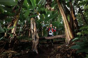 BIB: 
                            <button type="button" onclick="openModal(22420083)" class="btn btn-primary btn-sm float-right btn-popup" data-toggle="modal" data-target=".modal-high-quality">
                        <i class="fas fa-shopping-cart"></i> Add to Cart
                    </button>
                                            <button type="button" onclick="isThisMe(22420083, true)" class="btn btn-success btn-sm float-right btn-popup btn-isme hidden" data-toggle="tooltip" data-placement="bottom" title="นี่คือรูปของคุณใช่ไหม คลิกที่นี่เพื่อเอาเข้าอัลบั้ม">
                        <i class="fas fa-plus"></i> Add to album
                    </button>
                    <button type="button" onclick="isThisMe(22420083, false)" class="btn btn-warning btn-sm float-right btn-popup btn-isnotme hidden">
                        <i class="fas fa-ban"></i> Remove from album
                    </button>