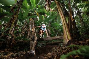 BIB: 
                            <button type="button" onclick="openModal(22393159)" class="btn btn-primary btn-sm float-right btn-popup" data-toggle="modal" data-target=".modal-high-quality">
                        <i class="fas fa-shopping-cart"></i> Add to Cart
                    </button>
                                            <button type="button" onclick="isThisMe(22393159, true)" class="btn btn-success btn-sm float-right btn-popup btn-isme hidden" data-toggle="tooltip" data-placement="bottom" title="นี่คือรูปของคุณใช่ไหม คลิกที่นี่เพื่อเอาเข้าอัลบั้ม">
                        <i class="fas fa-plus"></i> Add to album
                    </button>
                    <button type="button" onclick="isThisMe(22393159, false)" class="btn btn-warning btn-sm float-right btn-popup btn-isnotme hidden">
                        <i class="fas fa-ban"></i> Remove from album
                    </button>