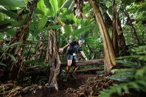 BIB: 
                            <button type="button" onclick="openModal(22393385)" class="btn btn-primary btn-sm float-right btn-popup" data-toggle="modal" data-target=".modal-high-quality">
                        <i class="fas fa-shopping-cart"></i> Add to Cart
                    </button>
                                            <button type="button" onclick="isThisMe(22393385, true)" class="btn btn-success btn-sm float-right btn-popup btn-isme hidden" data-toggle="tooltip" data-placement="bottom" title="นี่คือรูปของคุณใช่ไหม คลิกที่นี่เพื่อเอาเข้าอัลบั้ม">
                        <i class="fas fa-plus"></i> Add to album
                    </button>
                    <button type="button" onclick="isThisMe(22393385, false)" class="btn btn-warning btn-sm float-right btn-popup btn-isnotme hidden">
                        <i class="fas fa-ban"></i> Remove from album
                    </button>