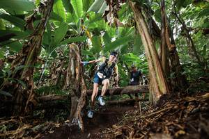 BIB: 
                            <button type="button" onclick="openModal(22392999)" class="btn btn-primary btn-sm float-right btn-popup" data-toggle="modal" data-target=".modal-high-quality">
                        <i class="fas fa-shopping-cart"></i> Add to Cart
                    </button>
                                            <button type="button" onclick="isThisMe(22392999, true)" class="btn btn-success btn-sm float-right btn-popup btn-isme hidden" data-toggle="tooltip" data-placement="bottom" title="นี่คือรูปของคุณใช่ไหม คลิกที่นี่เพื่อเอาเข้าอัลบั้ม">
                        <i class="fas fa-plus"></i> Add to album
                    </button>
                    <button type="button" onclick="isThisMe(22392999, false)" class="btn btn-warning btn-sm float-right btn-popup btn-isnotme hidden">
                        <i class="fas fa-ban"></i> Remove from album
                    </button>