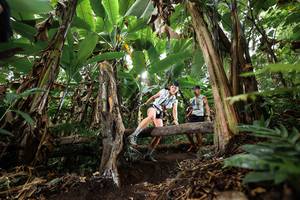 BIB: 
                            <button type="button" onclick="openModal(22397796)" class="btn btn-primary btn-sm float-right btn-popup" data-toggle="modal" data-target=".modal-high-quality">
                        <i class="fas fa-shopping-cart"></i> Add to Cart
                    </button>
                                            <button type="button" onclick="isThisMe(22397796, true)" class="btn btn-success btn-sm float-right btn-popup btn-isme hidden" data-toggle="tooltip" data-placement="bottom" title="นี่คือรูปของคุณใช่ไหม คลิกที่นี่เพื่อเอาเข้าอัลบั้ม">
                        <i class="fas fa-plus"></i> Add to album
                    </button>
                    <button type="button" onclick="isThisMe(22397796, false)" class="btn btn-warning btn-sm float-right btn-popup btn-isnotme hidden">
                        <i class="fas fa-ban"></i> Remove from album
                    </button>