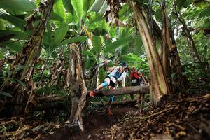 BIB: 
                            <button type="button" onclick="openModal(22392967)" class="btn btn-primary btn-sm float-right btn-popup" data-toggle="modal" data-target=".modal-high-quality">
                        <i class="fas fa-shopping-cart"></i> Add to Cart
                    </button>
                                            <button type="button" onclick="isThisMe(22392967, true)" class="btn btn-success btn-sm float-right btn-popup btn-isme hidden" data-toggle="tooltip" data-placement="bottom" title="นี่คือรูปของคุณใช่ไหม คลิกที่นี่เพื่อเอาเข้าอัลบั้ม">
                        <i class="fas fa-plus"></i> Add to album
                    </button>
                    <button type="button" onclick="isThisMe(22392967, false)" class="btn btn-warning btn-sm float-right btn-popup btn-isnotme hidden">
                        <i class="fas fa-ban"></i> Remove from album
                    </button>