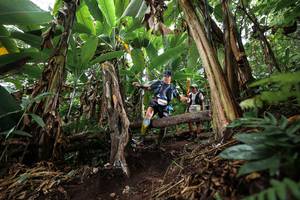 BIB: 
                            <button type="button" onclick="openModal(22415831)" class="btn btn-primary btn-sm float-right btn-popup" data-toggle="modal" data-target=".modal-high-quality">
                        <i class="fas fa-shopping-cart"></i> Add to Cart
                    </button>
                                            <button type="button" onclick="isThisMe(22415831, true)" class="btn btn-success btn-sm float-right btn-popup btn-isme hidden" data-toggle="tooltip" data-placement="bottom" title="นี่คือรูปของคุณใช่ไหม คลิกที่นี่เพื่อเอาเข้าอัลบั้ม">
                        <i class="fas fa-plus"></i> Add to album
                    </button>
                    <button type="button" onclick="isThisMe(22415831, false)" class="btn btn-warning btn-sm float-right btn-popup btn-isnotme hidden">
                        <i class="fas fa-ban"></i> Remove from album
                    </button>