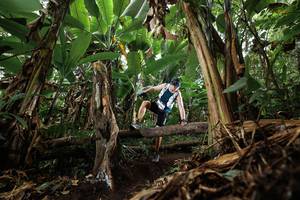 BIB: 
                            <button type="button" onclick="openModal(22392772)" class="btn btn-primary btn-sm float-right btn-popup" data-toggle="modal" data-target=".modal-high-quality">
                        <i class="fas fa-shopping-cart"></i> Add to Cart
                    </button>
                                            <button type="button" onclick="isThisMe(22392772, true)" class="btn btn-success btn-sm float-right btn-popup btn-isme hidden" data-toggle="tooltip" data-placement="bottom" title="นี่คือรูปของคุณใช่ไหม คลิกที่นี่เพื่อเอาเข้าอัลบั้ม">
                        <i class="fas fa-plus"></i> Add to album
                    </button>
                    <button type="button" onclick="isThisMe(22392772, false)" class="btn btn-warning btn-sm float-right btn-popup btn-isnotme hidden">
                        <i class="fas fa-ban"></i> Remove from album
                    </button>