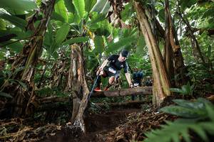 BIB: 
                            <button type="button" onclick="openModal(22393233)" class="btn btn-primary btn-sm float-right btn-popup" data-toggle="modal" data-target=".modal-high-quality">
                        <i class="fas fa-shopping-cart"></i> Add to Cart
                    </button>
                                            <button type="button" onclick="isThisMe(22393233, true)" class="btn btn-success btn-sm float-right btn-popup btn-isme hidden" data-toggle="tooltip" data-placement="bottom" title="นี่คือรูปของคุณใช่ไหม คลิกที่นี่เพื่อเอาเข้าอัลบั้ม">
                        <i class="fas fa-plus"></i> Add to album
                    </button>
                    <button type="button" onclick="isThisMe(22393233, false)" class="btn btn-warning btn-sm float-right btn-popup btn-isnotme hidden">
                        <i class="fas fa-ban"></i> Remove from album
                    </button>