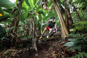 BIB: 
                            <button type="button" onclick="openModal(22415494)" class="btn btn-primary btn-sm float-right btn-popup" data-toggle="modal" data-target=".modal-high-quality">
                        <i class="fas fa-shopping-cart"></i> Add to Cart
                    </button>
                                            <button type="button" onclick="isThisMe(22415494, true)" class="btn btn-success btn-sm float-right btn-popup btn-isme hidden" data-toggle="tooltip" data-placement="bottom" title="นี่คือรูปของคุณใช่ไหม คลิกที่นี่เพื่อเอาเข้าอัลบั้ม">
                        <i class="fas fa-plus"></i> Add to album
                    </button>
                    <button type="button" onclick="isThisMe(22415494, false)" class="btn btn-warning btn-sm float-right btn-popup btn-isnotme hidden">
                        <i class="fas fa-ban"></i> Remove from album
                    </button>