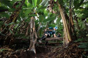 BIB: 
                            <button type="button" onclick="openModal(22417195)" class="btn btn-primary btn-sm float-right btn-popup" data-toggle="modal" data-target=".modal-high-quality">
                        <i class="fas fa-shopping-cart"></i> Add to Cart
                    </button>
                                            <button type="button" onclick="isThisMe(22417195, true)" class="btn btn-success btn-sm float-right btn-popup btn-isme hidden" data-toggle="tooltip" data-placement="bottom" title="นี่คือรูปของคุณใช่ไหม คลิกที่นี่เพื่อเอาเข้าอัลบั้ม">
                        <i class="fas fa-plus"></i> Add to album
                    </button>
                    <button type="button" onclick="isThisMe(22417195, false)" class="btn btn-warning btn-sm float-right btn-popup btn-isnotme hidden">
                        <i class="fas fa-ban"></i> Remove from album
                    </button>