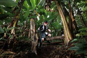 BIB: 
                            <button type="button" onclick="openModal(22418633)" class="btn btn-primary btn-sm float-right btn-popup" data-toggle="modal" data-target=".modal-high-quality">
                        <i class="fas fa-shopping-cart"></i> Add to Cart
                    </button>
                                            <button type="button" onclick="isThisMe(22418633, true)" class="btn btn-success btn-sm float-right btn-popup btn-isme hidden" data-toggle="tooltip" data-placement="bottom" title="นี่คือรูปของคุณใช่ไหม คลิกที่นี่เพื่อเอาเข้าอัลบั้ม">
                        <i class="fas fa-plus"></i> Add to album
                    </button>
                    <button type="button" onclick="isThisMe(22418633, false)" class="btn btn-warning btn-sm float-right btn-popup btn-isnotme hidden">
                        <i class="fas fa-ban"></i> Remove from album
                    </button>