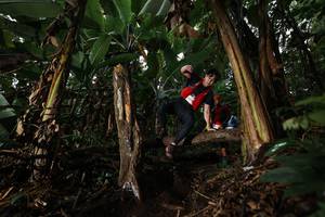 BIB: 613
                            <button type="button" onclick="openModal(22422818)" class="btn btn-primary btn-sm float-right btn-popup" data-toggle="modal" data-target=".modal-high-quality">
                        <i class="fas fa-shopping-cart"></i> Add to Cart
                    </button>
                                            <button type="button" onclick="isThisMe(22422818, true)" class="btn btn-success btn-sm float-right btn-popup btn-isme hidden" data-toggle="tooltip" data-placement="bottom" title="นี่คือรูปของคุณใช่ไหม คลิกที่นี่เพื่อเอาเข้าอัลบั้ม">
                        <i class="fas fa-plus"></i> Add to album
                    </button>
                    <button type="button" onclick="isThisMe(22422818, false)" class="btn btn-warning btn-sm float-right btn-popup btn-isnotme hidden">
                        <i class="fas fa-ban"></i> Remove from album
                    </button>