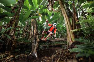 BIB: 
                            <button type="button" onclick="openModal(22397910)" class="btn btn-primary btn-sm float-right btn-popup" data-toggle="modal" data-target=".modal-high-quality">
                        <i class="fas fa-shopping-cart"></i> Add to Cart
                    </button>
                                            <button type="button" onclick="isThisMe(22397910, true)" class="btn btn-success btn-sm float-right btn-popup btn-isme hidden" data-toggle="tooltip" data-placement="bottom" title="นี่คือรูปของคุณใช่ไหม คลิกที่นี่เพื่อเอาเข้าอัลบั้ม">
                        <i class="fas fa-plus"></i> Add to album
                    </button>
                    <button type="button" onclick="isThisMe(22397910, false)" class="btn btn-warning btn-sm float-right btn-popup btn-isnotme hidden">
                        <i class="fas fa-ban"></i> Remove from album
                    </button>