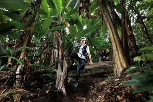 BIB: 
                            <button type="button" onclick="openModal(22421041)" class="btn btn-primary btn-sm float-right btn-popup" data-toggle="modal" data-target=".modal-high-quality">
                        <i class="fas fa-shopping-cart"></i> Add to Cart
                    </button>
                                            <button type="button" onclick="isThisMe(22421041, true)" class="btn btn-success btn-sm float-right btn-popup btn-isme hidden" data-toggle="tooltip" data-placement="bottom" title="นี่คือรูปของคุณใช่ไหม คลิกที่นี่เพื่อเอาเข้าอัลบั้ม">
                        <i class="fas fa-plus"></i> Add to album
                    </button>
                    <button type="button" onclick="isThisMe(22421041, false)" class="btn btn-warning btn-sm float-right btn-popup btn-isnotme hidden">
                        <i class="fas fa-ban"></i> Remove from album
                    </button>