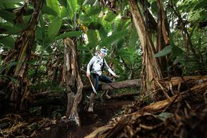 BIB: 
                            <button type="button" onclick="openModal(22392339)" class="btn btn-primary btn-sm float-right btn-popup" data-toggle="modal" data-target=".modal-high-quality">
                        <i class="fas fa-shopping-cart"></i> Add to Cart
                    </button>
                                            <button type="button" onclick="isThisMe(22392339, true)" class="btn btn-success btn-sm float-right btn-popup btn-isme hidden" data-toggle="tooltip" data-placement="bottom" title="นี่คือรูปของคุณใช่ไหม คลิกที่นี่เพื่อเอาเข้าอัลบั้ม">
                        <i class="fas fa-plus"></i> Add to album
                    </button>
                    <button type="button" onclick="isThisMe(22392339, false)" class="btn btn-warning btn-sm float-right btn-popup btn-isnotme hidden">
                        <i class="fas fa-ban"></i> Remove from album
                    </button>