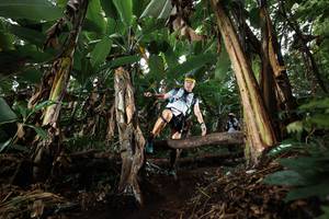 BIB: 
                            <button type="button" onclick="openModal(22419716)" class="btn btn-primary btn-sm float-right btn-popup" data-toggle="modal" data-target=".modal-high-quality">
                        <i class="fas fa-shopping-cart"></i> Add to Cart
                    </button>
                                            <button type="button" onclick="isThisMe(22419716, true)" class="btn btn-success btn-sm float-right btn-popup btn-isme hidden" data-toggle="tooltip" data-placement="bottom" title="นี่คือรูปของคุณใช่ไหม คลิกที่นี่เพื่อเอาเข้าอัลบั้ม">
                        <i class="fas fa-plus"></i> Add to album
                    </button>
                    <button type="button" onclick="isThisMe(22419716, false)" class="btn btn-warning btn-sm float-right btn-popup btn-isnotme hidden">
                        <i class="fas fa-ban"></i> Remove from album
                    </button>