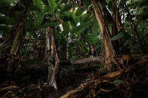 BIB: 
                            <button type="button" onclick="openModal(22387696)" class="btn btn-primary btn-sm float-right btn-popup" data-toggle="modal" data-target=".modal-high-quality">
                        <i class="fas fa-shopping-cart"></i> Add to Cart
                    </button>
                                            <button type="button" onclick="isThisMe(22387696, true)" class="btn btn-success btn-sm float-right btn-popup btn-isme hidden" data-toggle="tooltip" data-placement="bottom" title="นี่คือรูปของคุณใช่ไหม คลิกที่นี่เพื่อเอาเข้าอัลบั้ม">
                        <i class="fas fa-plus"></i> Add to album
                    </button>
                    <button type="button" onclick="isThisMe(22387696, false)" class="btn btn-warning btn-sm float-right btn-popup btn-isnotme hidden">
                        <i class="fas fa-ban"></i> Remove from album
                    </button>