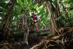 BIB: 
                            <button type="button" onclick="openModal(22387386)" class="btn btn-primary btn-sm float-right btn-popup" data-toggle="modal" data-target=".modal-high-quality">
                        <i class="fas fa-shopping-cart"></i> Add to Cart
                    </button>
                                            <button type="button" onclick="isThisMe(22387386, true)" class="btn btn-success btn-sm float-right btn-popup btn-isme hidden" data-toggle="tooltip" data-placement="bottom" title="นี่คือรูปของคุณใช่ไหม คลิกที่นี่เพื่อเอาเข้าอัลบั้ม">
                        <i class="fas fa-plus"></i> Add to album
                    </button>
                    <button type="button" onclick="isThisMe(22387386, false)" class="btn btn-warning btn-sm float-right btn-popup btn-isnotme hidden">
                        <i class="fas fa-ban"></i> Remove from album
                    </button>