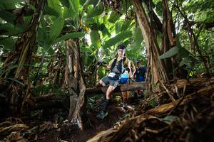 BIB: 
                            <button type="button" onclick="openModal(22388378)" class="btn btn-primary btn-sm float-right btn-popup" data-toggle="modal" data-target=".modal-high-quality">
                        <i class="fas fa-shopping-cart"></i> Add to Cart
                    </button>
                                            <button type="button" onclick="isThisMe(22388378, true)" class="btn btn-success btn-sm float-right btn-popup btn-isme hidden" data-toggle="tooltip" data-placement="bottom" title="นี่คือรูปของคุณใช่ไหม คลิกที่นี่เพื่อเอาเข้าอัลบั้ม">
                        <i class="fas fa-plus"></i> Add to album
                    </button>
                    <button type="button" onclick="isThisMe(22388378, false)" class="btn btn-warning btn-sm float-right btn-popup btn-isnotme hidden">
                        <i class="fas fa-ban"></i> Remove from album
                    </button>