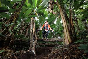 BIB: 
                            <button type="button" onclick="openModal(22417589)" class="btn btn-primary btn-sm float-right btn-popup" data-toggle="modal" data-target=".modal-high-quality">
                        <i class="fas fa-shopping-cart"></i> Add to Cart
                    </button>
                                            <button type="button" onclick="isThisMe(22417589, true)" class="btn btn-success btn-sm float-right btn-popup btn-isme hidden" data-toggle="tooltip" data-placement="bottom" title="นี่คือรูปของคุณใช่ไหม คลิกที่นี่เพื่อเอาเข้าอัลบั้ม">
                        <i class="fas fa-plus"></i> Add to album
                    </button>
                    <button type="button" onclick="isThisMe(22417589, false)" class="btn btn-warning btn-sm float-right btn-popup btn-isnotme hidden">
                        <i class="fas fa-ban"></i> Remove from album
                    </button>